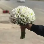 The Bride'S Flower - White